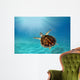 Hawks Bill Sea Turtle Wall Decal