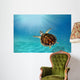 Hawks Bill Sea Turtle Wall Decal