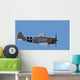 Wwii Fighter Wall Mural