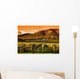 Rows Grape Vines Vineyard Wall Decal