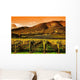 Rows Grape Vines Vineyard Wall Decal