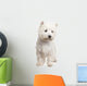 West Highland White Terrier 8 Months Wall Decal