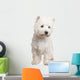 West Highland White Terrier 8 Months Wall Decal