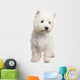 West Highland White Terrier 8 Months Wall Decal