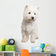 West Highland White Terrier 8 Months Wall Decal