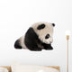 Giant Panda 6 Months Wall Decal