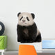 Giant Panda Wall Decal