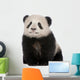 Giant Panda Wall Decal