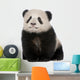 Giant Panda Wall Decal