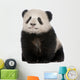Giant Panda Wall Decal