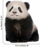 Giant Panda Wall Decal
