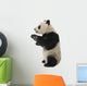 Giant Panda 18 Months - Ailuropoda Melanoleuca Wall Decal
