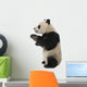 Giant Panda 18 Months - Ailuropoda Melanoleuca Wall Decal