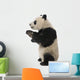 Giant Panda 18 Months - Ailuropoda Melanoleuca Wall Decal