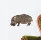 Photo Realistic Hippopotamus Wall Decal