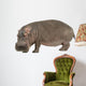 Photo Realistic Hippopotamus Wall Decal