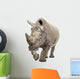 White Rhinoceros - Ceratotherium simum ( +/- 10 years) Wall Decal