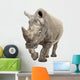 White Rhinoceros - Ceratotherium simum ( +/- 10 years) Wall Decal