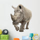 White Rhinoceros - Ceratotherium simum ( +/- 10 years) Wall Decal