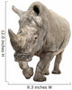 White Rhinoceros - Ceratotherium simum ( +/- 10 years) Wall Decal