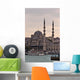 The New Mosque in Istanbul Turkey Wall Mural
