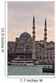 The New Mosque in Istanbul Turkey Wall Mural