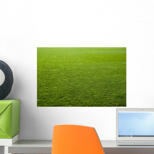 Green grass texture of a soccer field. Wall Mural