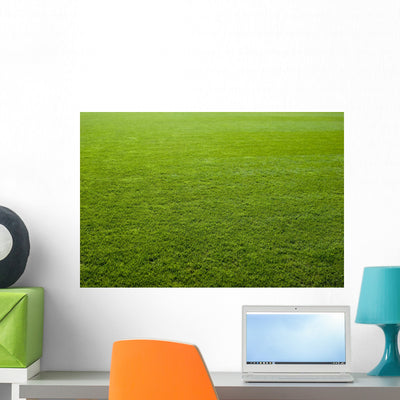 Green Grass Texture Soccer Wall Mural shown on a wall