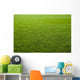 Green grass texture of a soccer field. Wall Mural