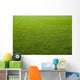 Green grass texture of a soccer field. Wall Mural