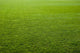 Green grass texture of a soccer field. Wall Mural
