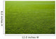 Green grass texture of a soccer field. Wall Mural