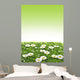 Meadow Wall Mural