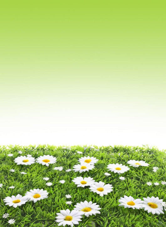 Meadow Wall Mural