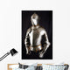 knight Wall Mural