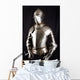 knight Wall Mural