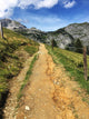 Alpen  Wall Mural