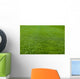 Green Grass Soccer Field Wall Mural