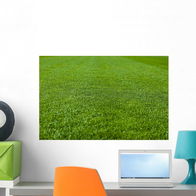 Green Grass Soccer Field Wall Mural shown on a wall