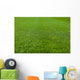 Green Grass Soccer Field Wall Mural