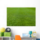 Green Grass Soccer Field Wall Mural
