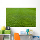 Green Grass Soccer Field Wall Mural