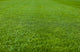 Green Grass Soccer Field Wall Mural