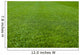 Green Grass Soccer Field Wall Mural