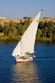 Egypt Wall Mural