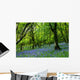bluebell fairyland Wall Mural