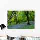bluebell fairyland Wall Mural