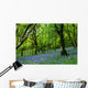 bluebell fairyland Wall Mural