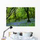 bluebell fairyland Wall Mural