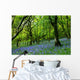 bluebell fairyland Wall Mural